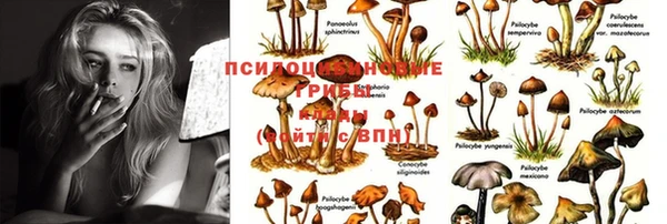 mix Алзамай